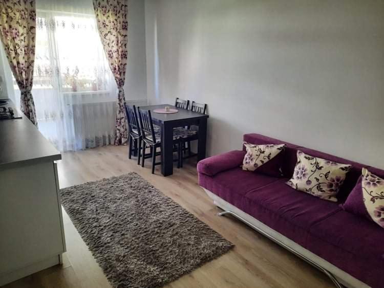 Diana Apartament Apartamento Braşov Exterior foto